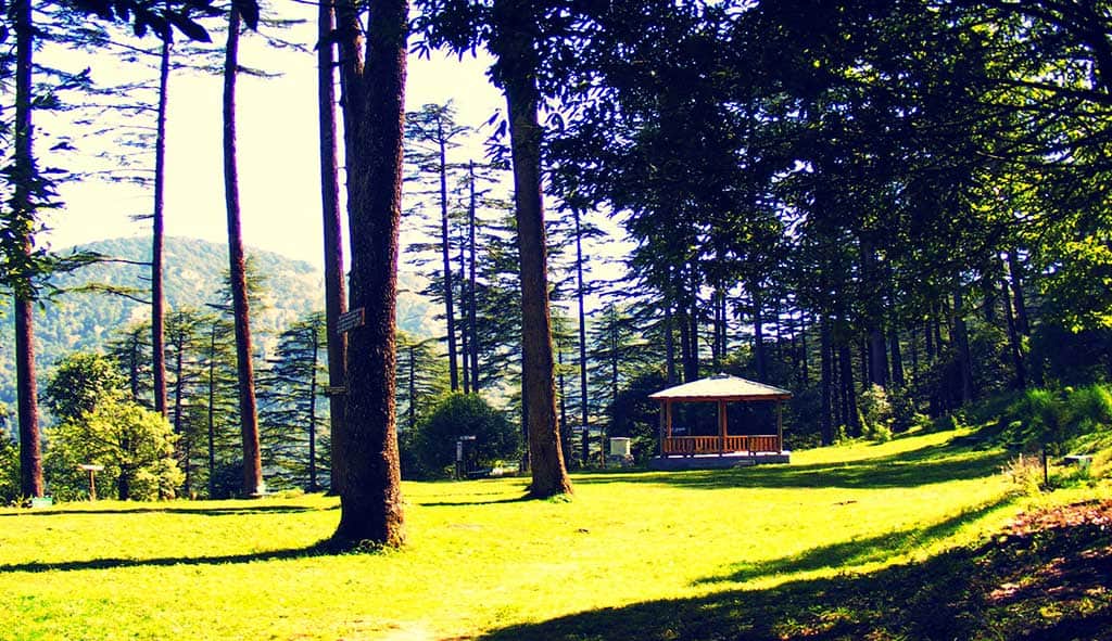 Read more about the article Best Visiting Places in Dhanaulti in 2020