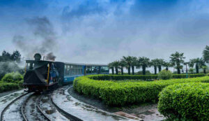 Read more about the article Best 11 Visiting Places in Darjeeling
