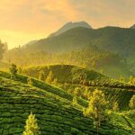 Best Visiting Places in Munnar 2021
